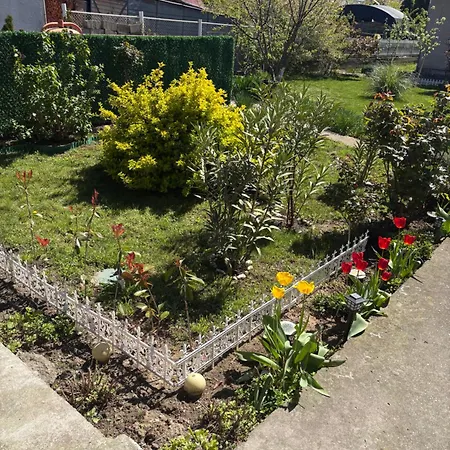 Apartment Pro Arte 2 Kladovo